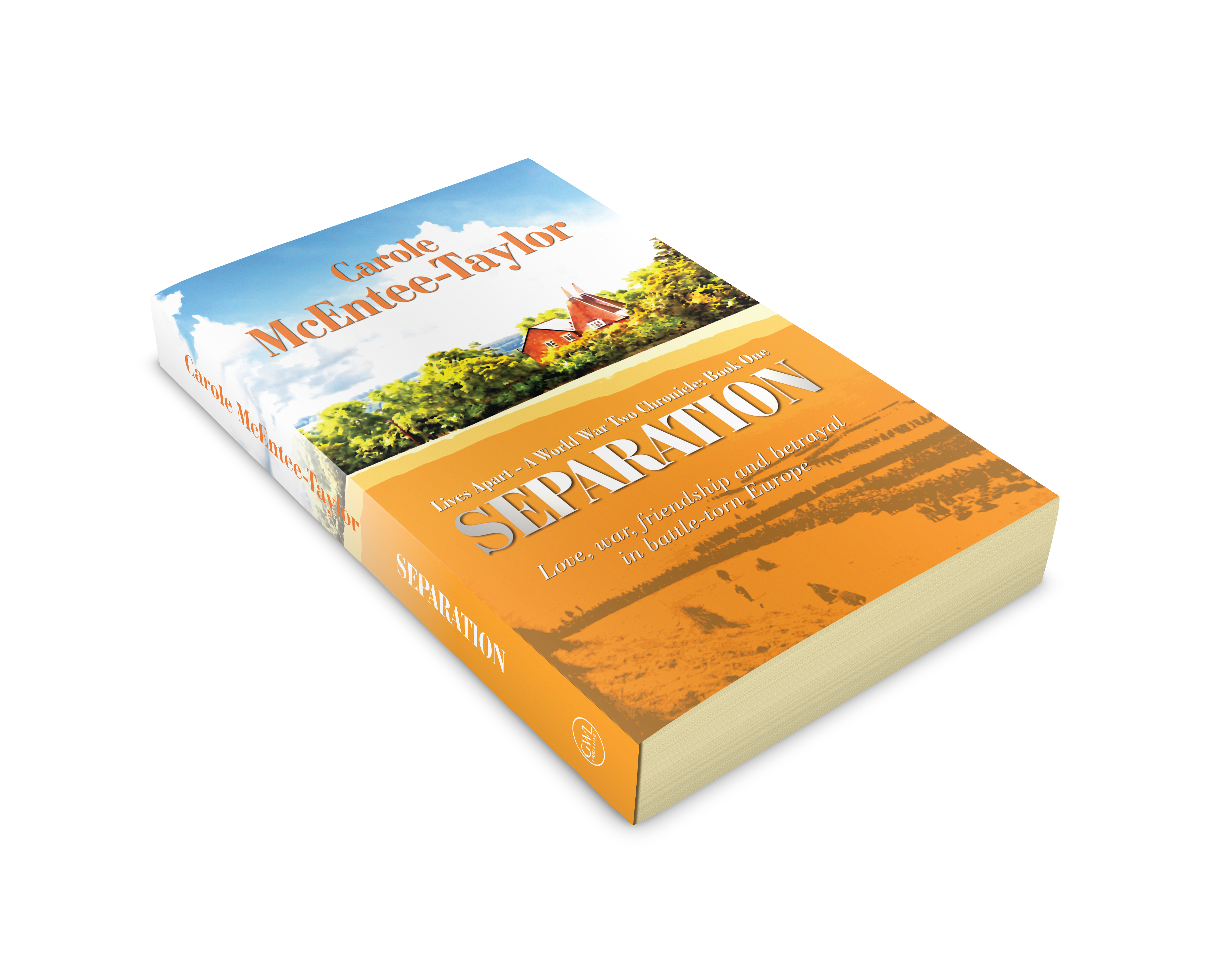 Front cover image of Separation by Carole McEntee-Taylor.